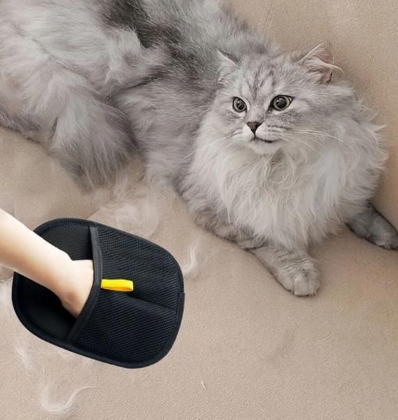 Anti-Fur Cleaning Glove