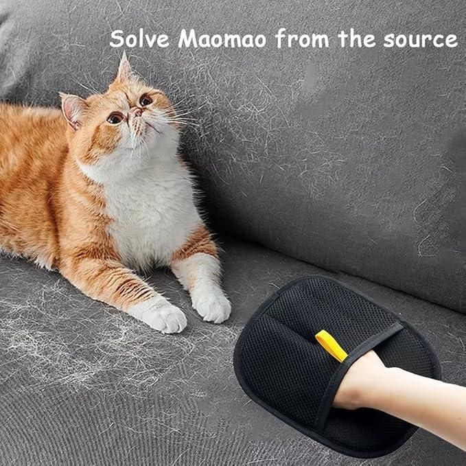 Anti-Fur Cleaning Glove